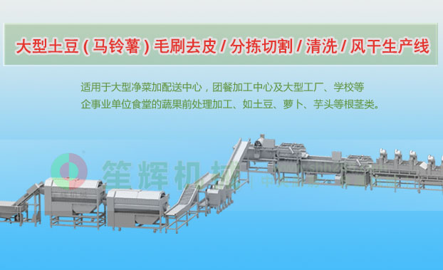 寒亭连续式土豆去皮清洗切割风干生产线